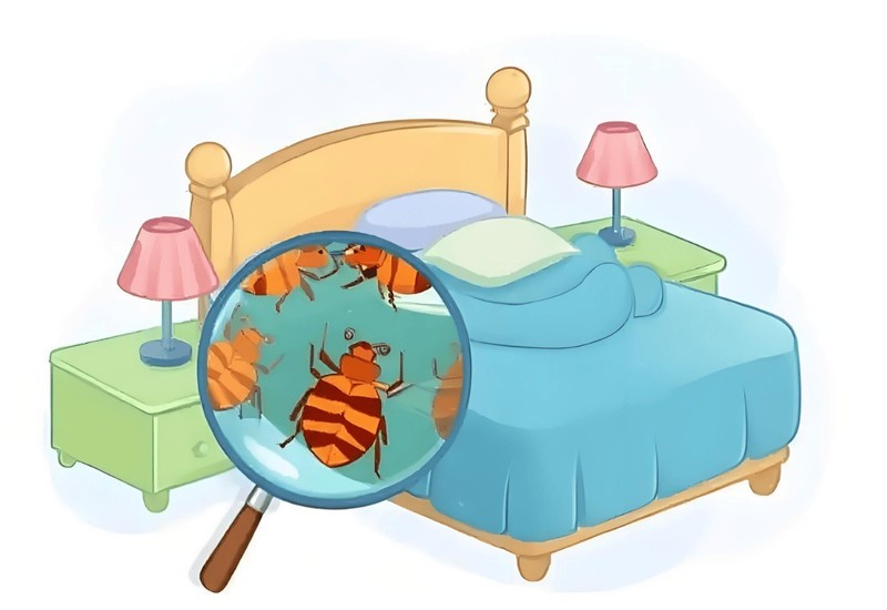 硬核除螨仪推荐2025：买对不买贵！热门家用除螨仪品牌避坑攻略！