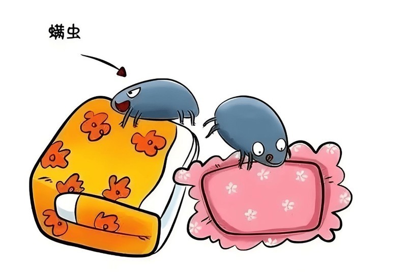 硬核除螨仪推荐2025：买对不买贵！热门家用除螨仪品牌避坑攻略！