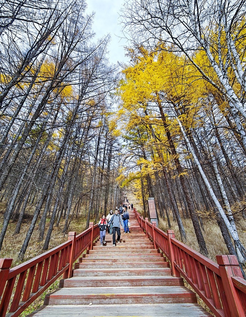 国庆跟团游#阿尔山国家森林公园风光