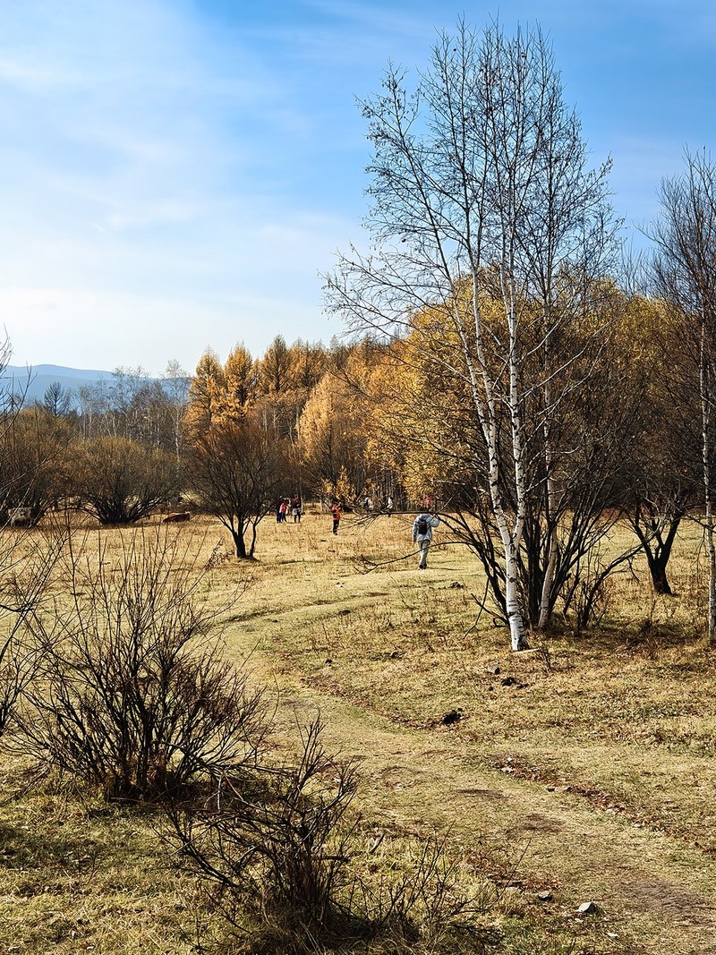 国庆跟团游#阿尔山国家森林公园风光