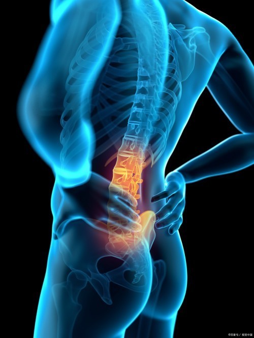 人体工学椅哪个牌子性价比高？2025口碑最好的人体工学椅品牌盘点！