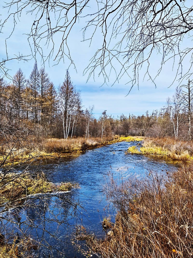 国庆跟团游#阿尔山国家森林公园风光