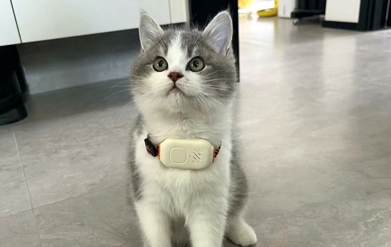 为宠物安全保驾护航的智能定位器 冉物定位器X1