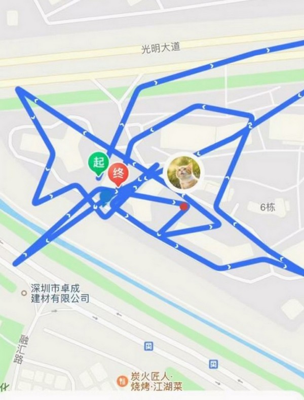 为宠物安全保驾护航的智能定位器 冉物定位器X1