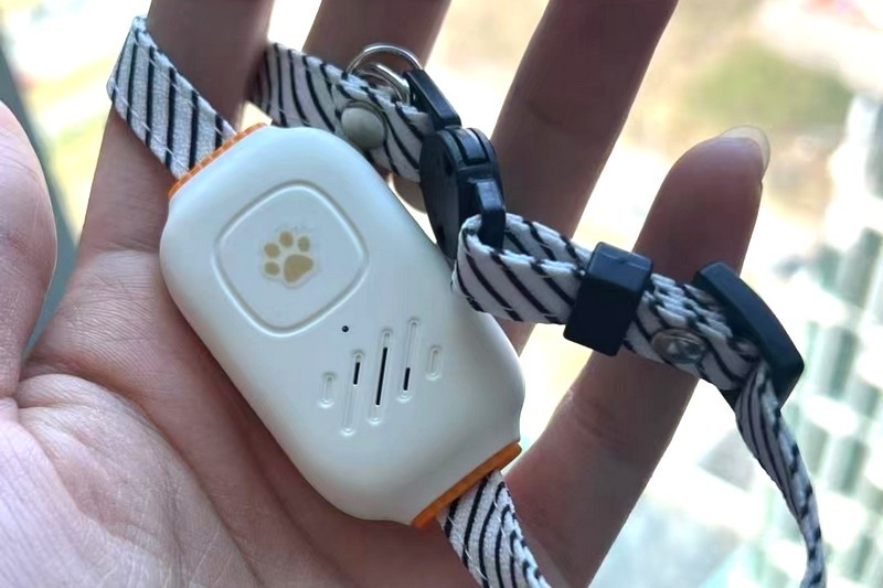 为宠物安全保驾护航的智能定位器 冉物定位器X1