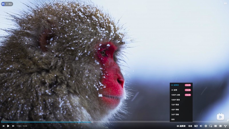 量子点技术加持 显示效果出彩 微星MAG 321UPX QD-OLED显示器评测