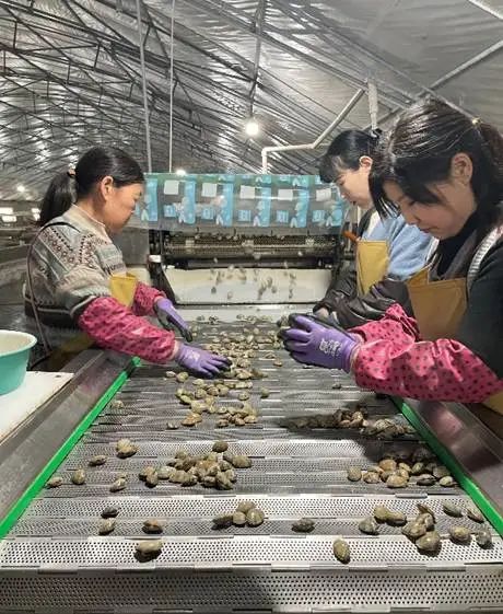 三年投入一千亿，拼多多助推商家新质升级