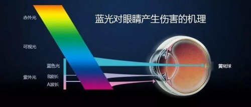 高度推荐的护眼台灯十大排名品牌：什么牌子的台灯适合孩子上学？