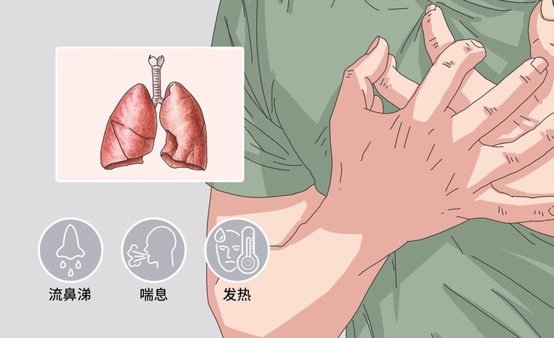 2025除螨仪十大文明用语：床上除螨仪十大文明用语排行榜综合分享