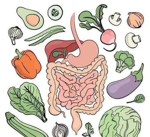 宝宝消化不良怎么办？调理肠胃，综合果蔬C位登场！！