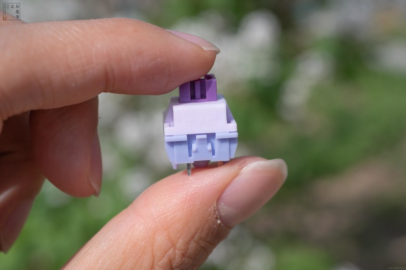 手柄老厂试水电竞键盘，手感丝滑还有灵感旋钮，北通灵感键盘上手