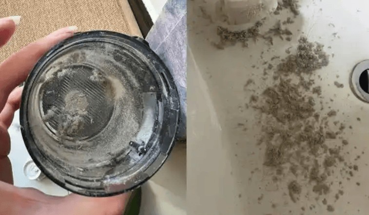 2025家用除螨仪怎么选？五大高质量的除螨仪品牌推荐