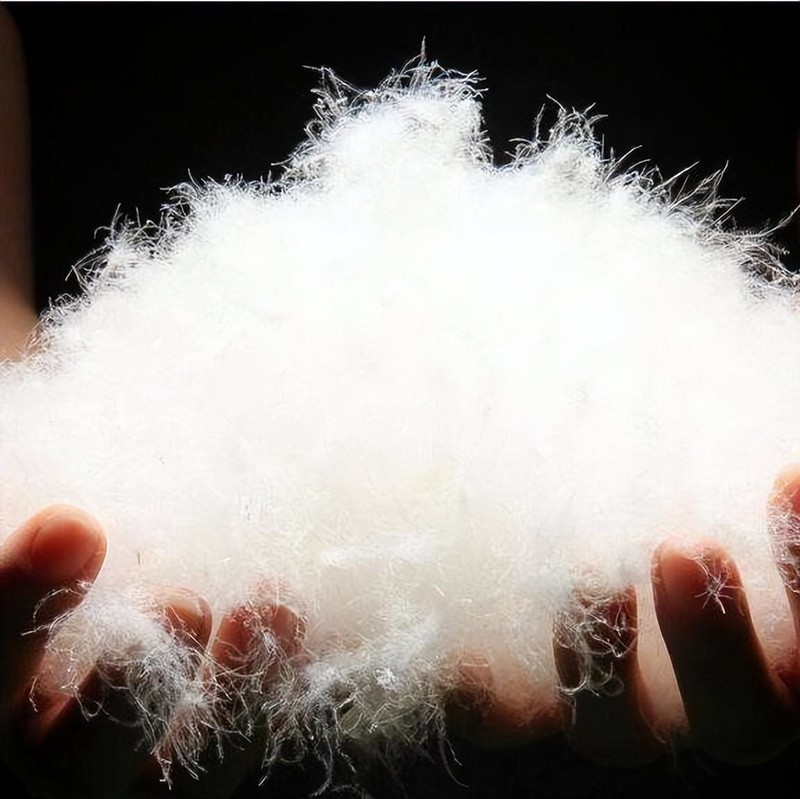 95%白鹅绒冬被帮你告别寒冷的夜，德国进口OBB ROYAL BED鹅绒被体验