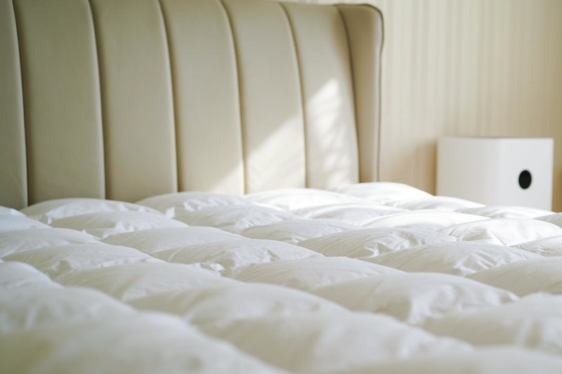 95%白鹅绒冬被帮你告别寒冷的夜，德国进口OBB ROYAL BED鹅绒被体验