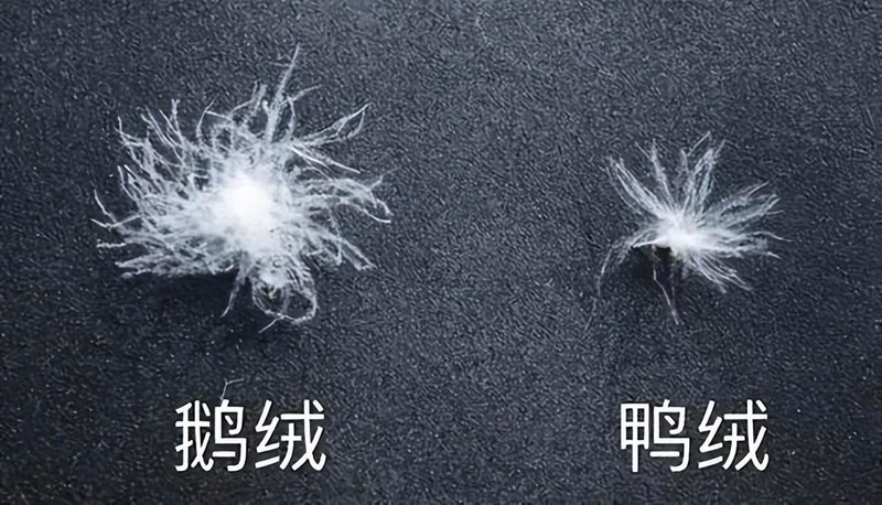 95%白鹅绒冬被帮你告别寒冷的夜，德国进口OBB ROYAL BED鹅绒被体验