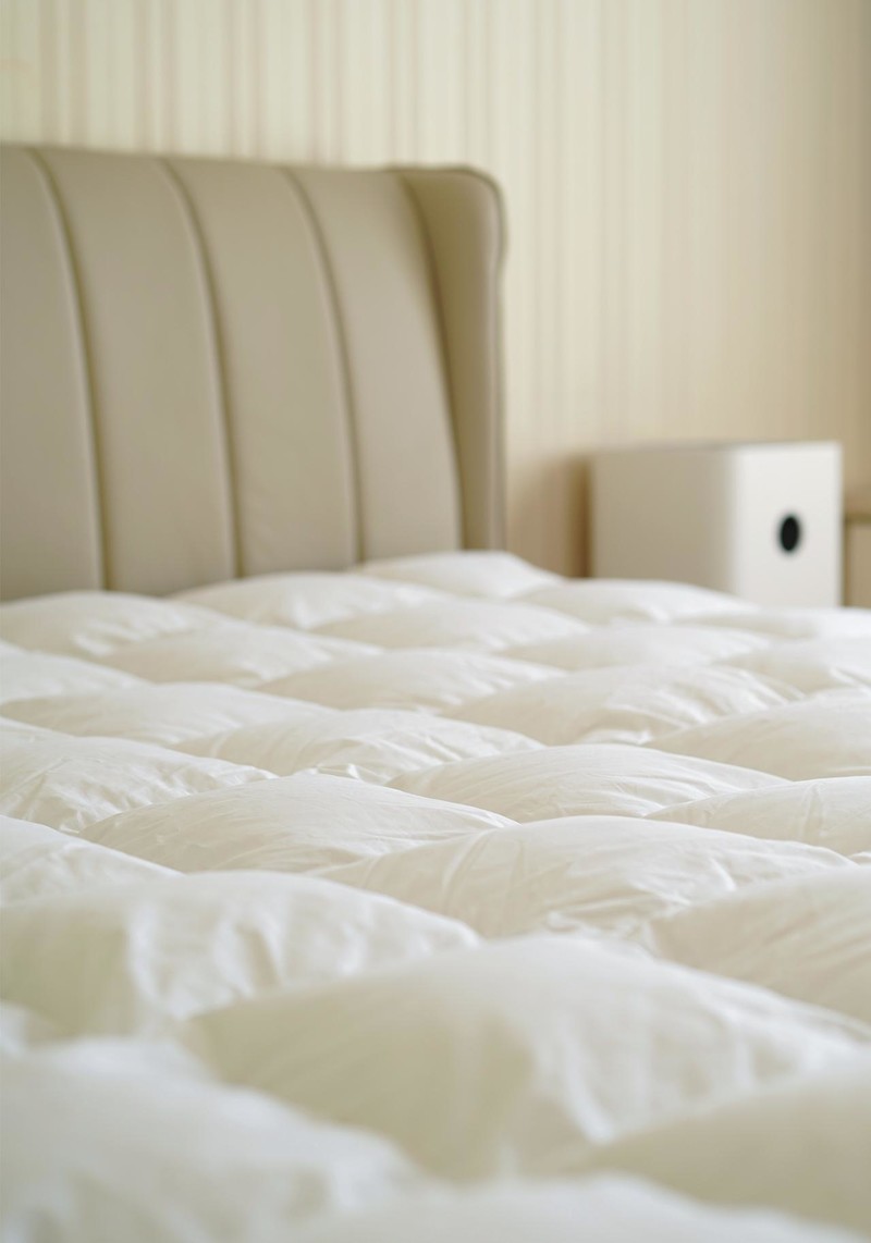 95%白鹅绒冬被帮你告别寒冷的夜，德国进口OBB ROYAL BED鹅绒被体验