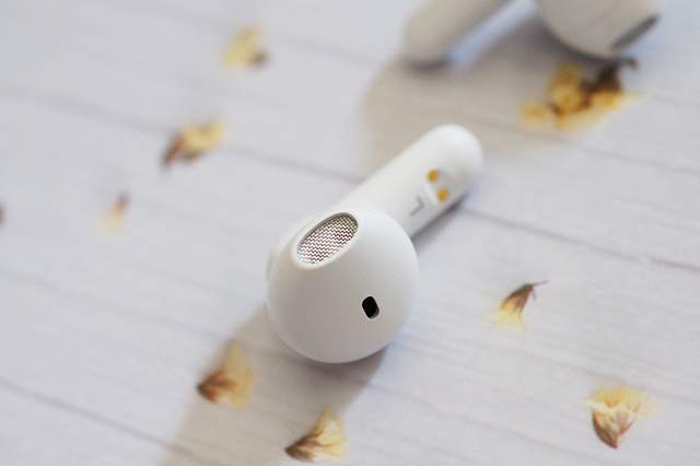 潮趣设计，好听也好玩！南 卡Lite2小音腔耳机评测