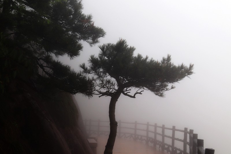 雾蒙蒙的九华山花台景区（一）