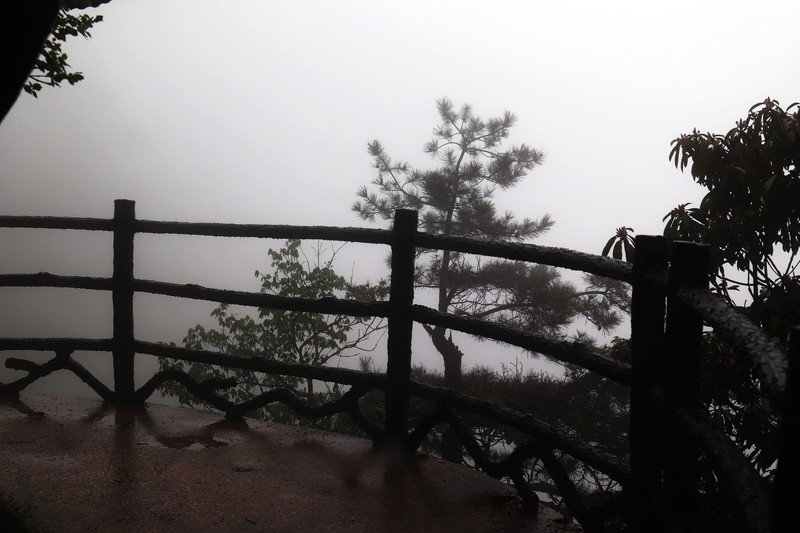雾蒙蒙的九华山花台景区（一）