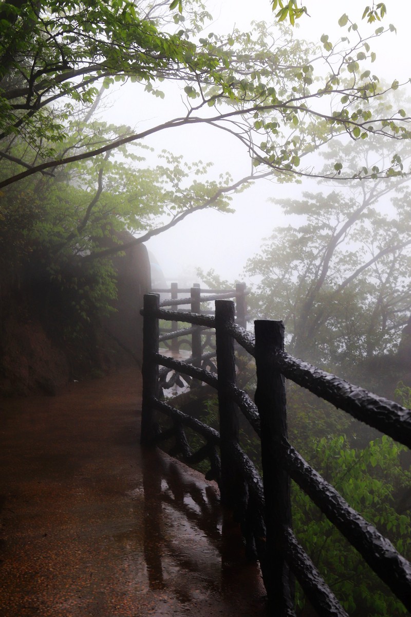 雾蒙蒙的九华山花台景区（一）