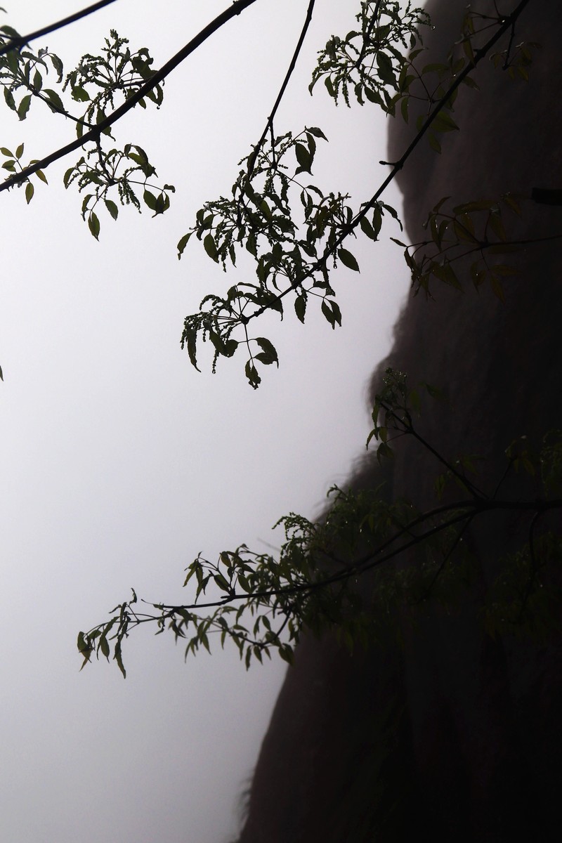 雾蒙蒙的九华山花台景区（一）