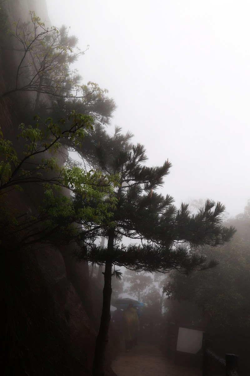 雾蒙蒙的九华山花台景区（一）