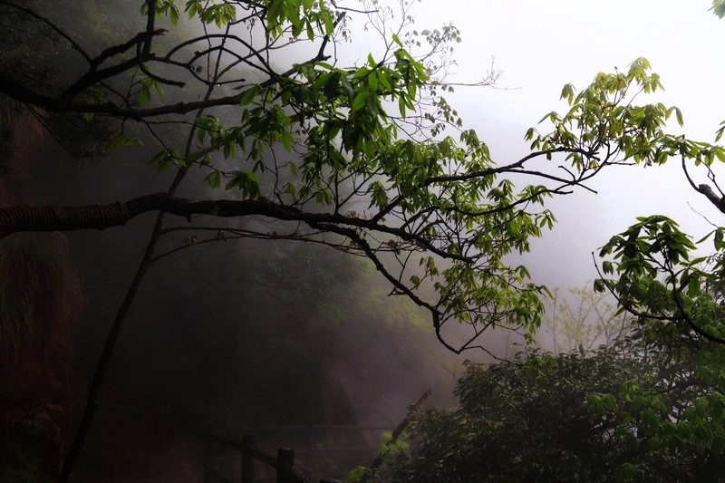 雾蒙蒙的九华山花台景区（一）