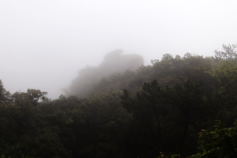 雾蒙蒙的九华山花台景区（一）