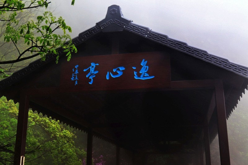 雾蒙蒙的九华山花台景区（一）