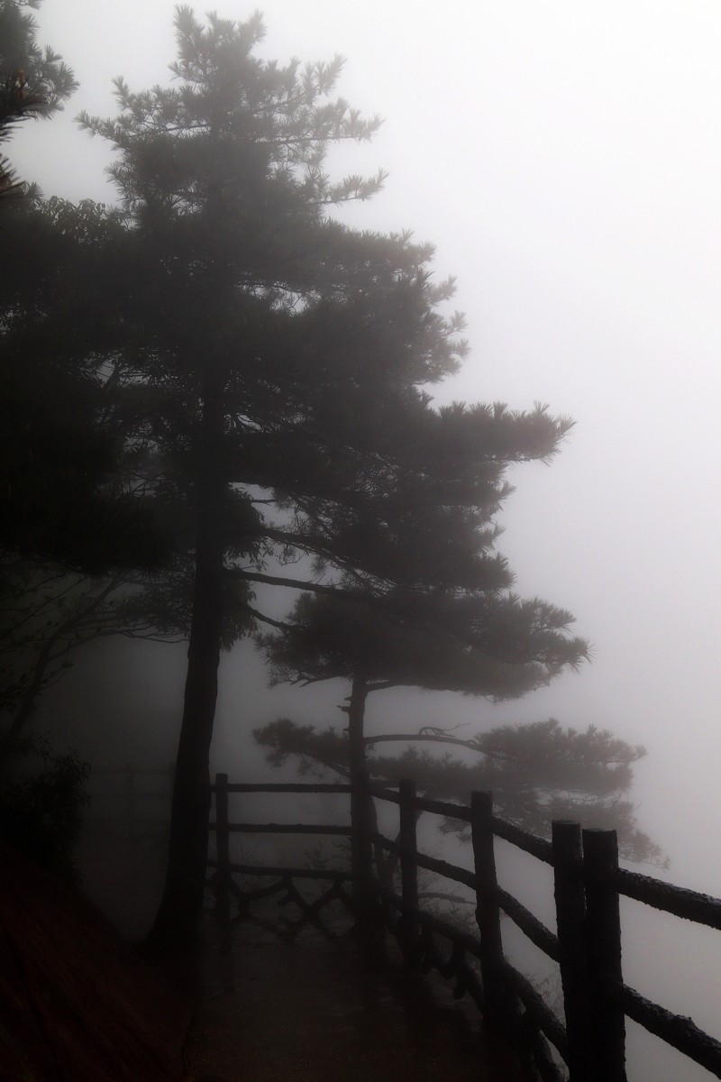 雾蒙蒙的九华山花台景区（一）