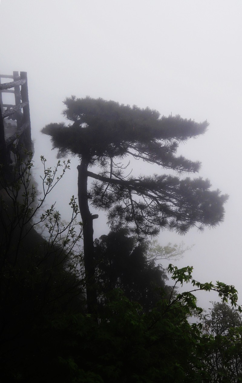 雾蒙蒙的九华山花台景区（一）