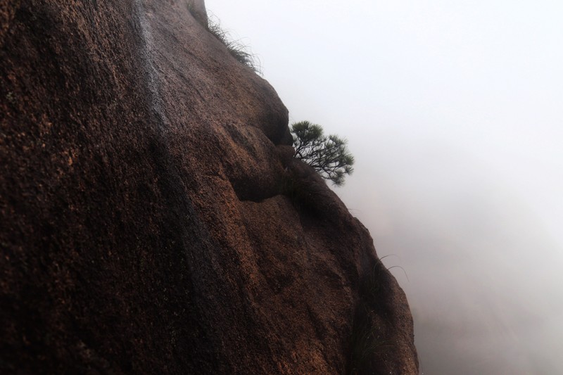 雾蒙蒙的九华山花台景区（一）