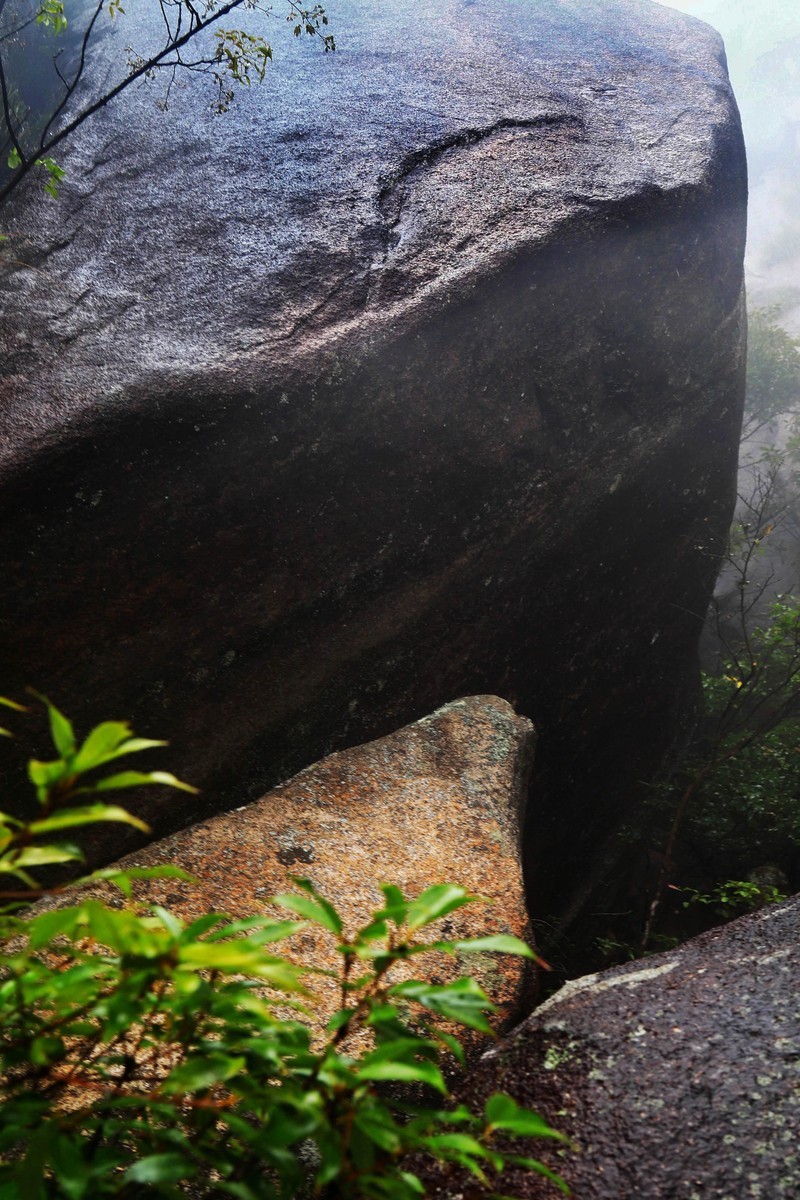 雾蒙蒙的九华山花台景区（一）