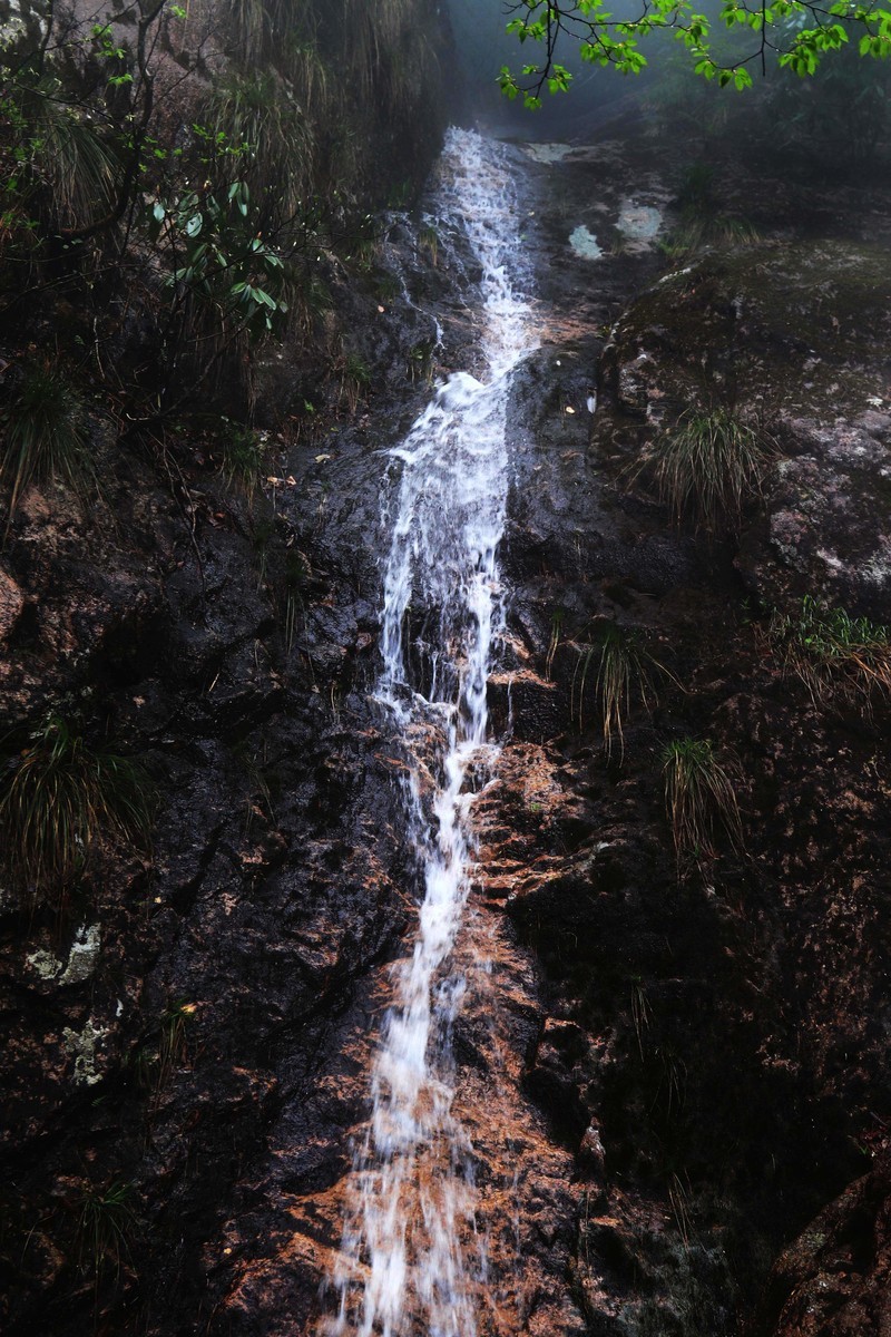 雾蒙蒙的九华山花台景区（一）