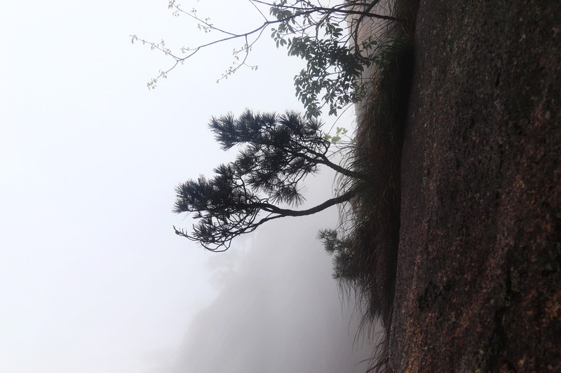 雾蒙蒙的九华山花台景区（一）