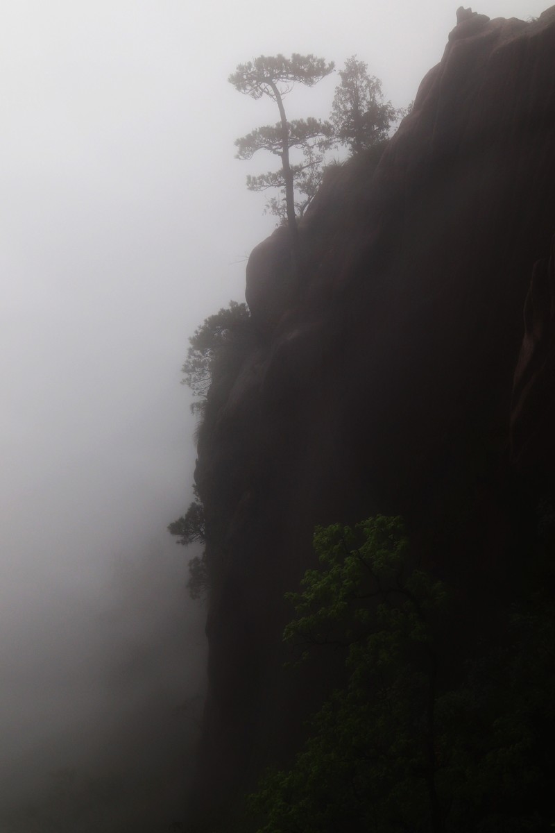 雾蒙蒙的九华山花台景区（一）