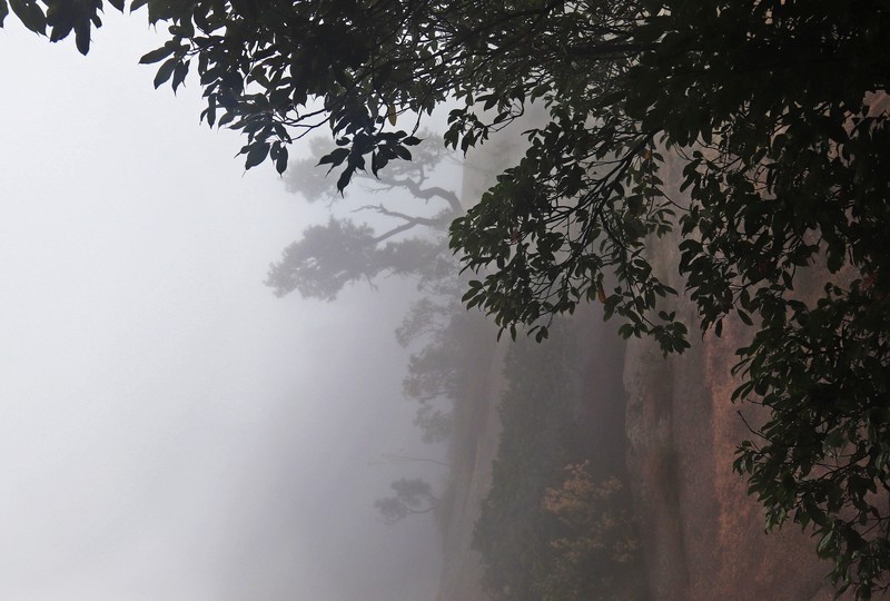 雾蒙蒙的九华山花台景区（一）