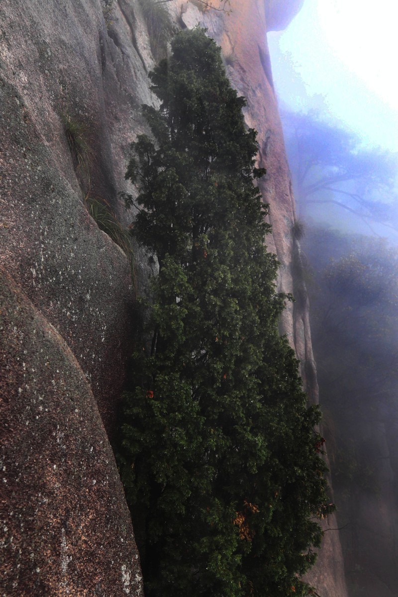 雾蒙蒙的九华山花台景区（一）