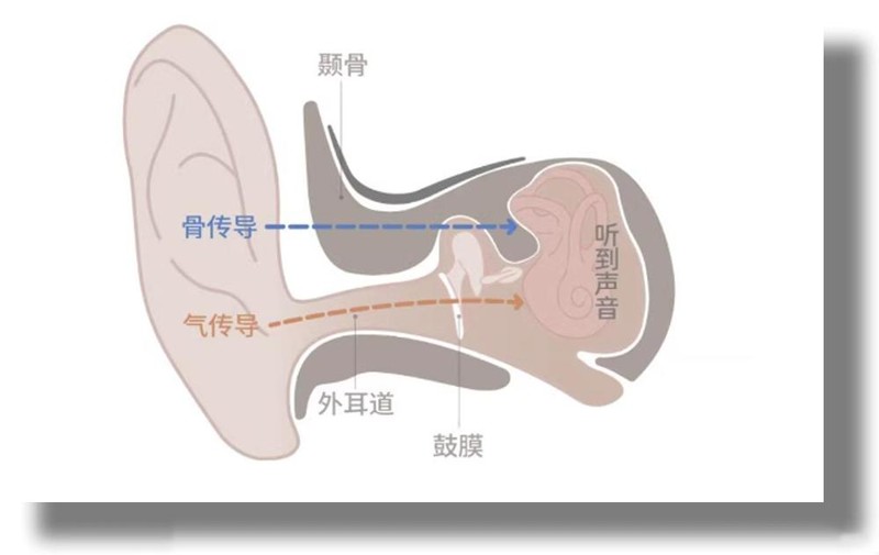 妹妹、美女、放假、回家，我要送什么礼物给她
