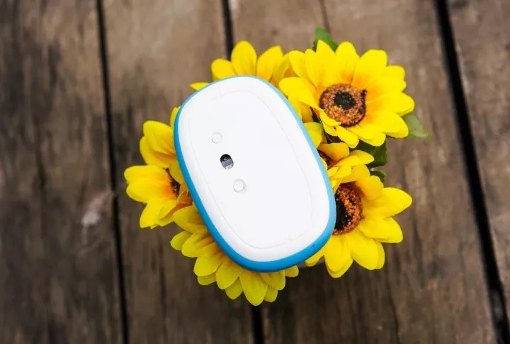 看着世界杯，拿着鼠标为阿根廷打call，雷柏M650标球迷节日版