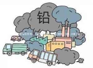 注意| 请重视铅超标对孩子的危害！又该如何排铅呢？