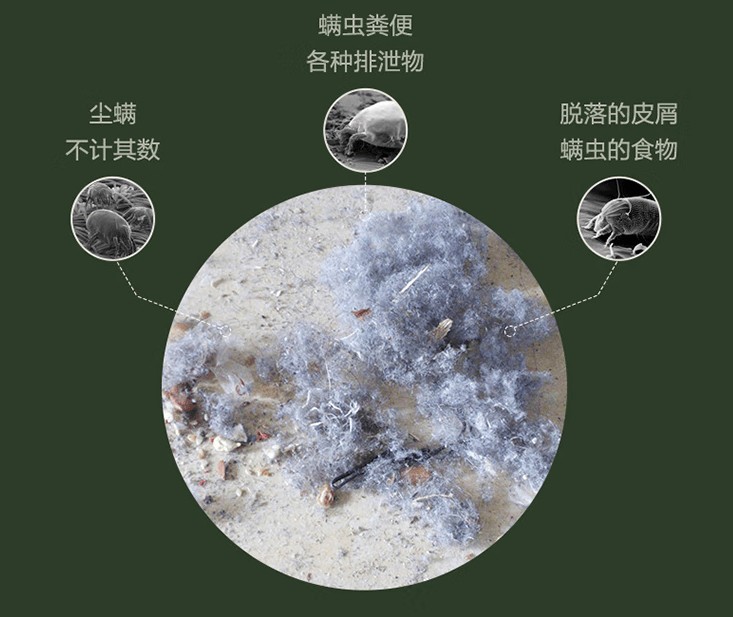 除螨仪真的有用吗？2025年10大品牌除螨仪推荐！不看吃亏！