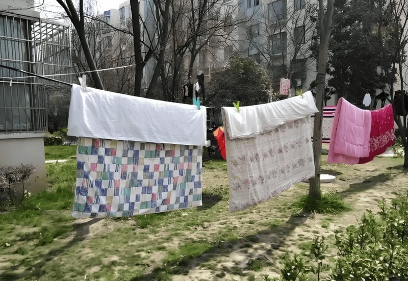 除螨仪真的有用吗？2025年10大品牌除螨仪推荐！不看吃亏！