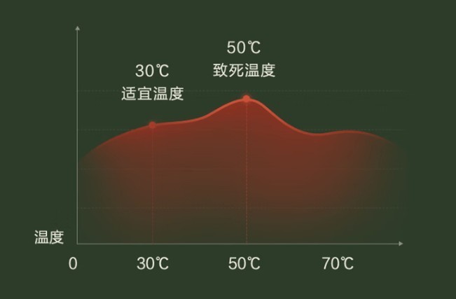 除螨仪真的有用吗？2025年10大品牌除螨仪推荐！不看吃亏！