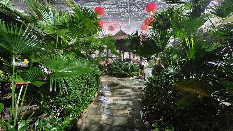 看看我的手机夜景咋样