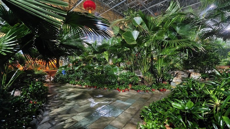 看看我的手机夜景咋样