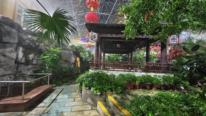 看看我的手机夜景咋样