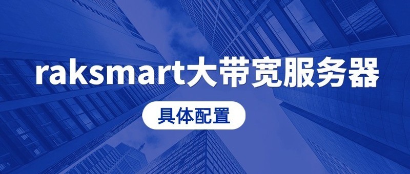 raksmart大带宽服务器具体配置
