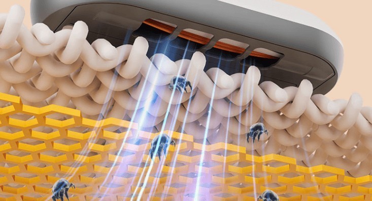 除螨仪哪个最好用？2025年口碑好的5款除螨仪盘点!新手必看