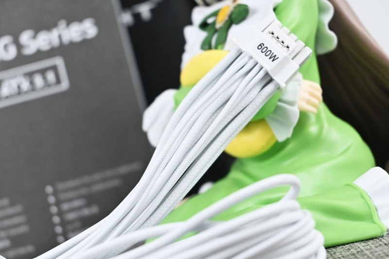 利民AG1000白色版ATX3.1全模组电源开箱：小巧的乔威千瓦